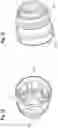 Fig. 08 - Press-on element for a power tool