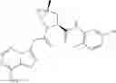 Fig. 197 - PYRROLOPYRIMIDINE AMINES AS COMPLEMENT INHIBITORS