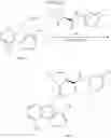 Fig. 744 - PYRROLOPYRIMIDINE AMINES AS COMPLEMENT INHIBITORS
