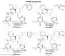 Fig. 71 - SMALL MOLECULE ADAPTER REGULATED, TARGET SPECIFIC CHIMERIC ANTIGEN RECEPTOR BEARING T CELLS (SMART CARS)