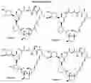 Fig. 76 - SMALL MOLECULE ADAPTER REGULATED, TARGET SPECIFIC CHIMERIC ANTIGEN RECEPTOR BEARING T CELLS (SMART CARS)