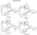 Fig. 79 - SMALL MOLECULE ADAPTER REGULATED, TARGET SPECIFIC CHIMERIC ANTIGEN RECEPTOR BEARING T CELLS (SMART CARS)