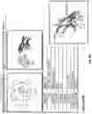 Fig. 33 - ENHANCED CHIMERIC ANTIGEN RECEPTORS AND USE THEREOF