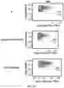 Fig. 48 - ENHANCED CHIMERIC ANTIGEN RECEPTORS AND USE THEREOF