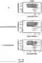 Fig. 50 - ENHANCED CHIMERIC ANTIGEN RECEPTORS AND USE THEREOF