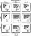 Fig. 59 - ENHANCED CHIMERIC ANTIGEN RECEPTORS AND USE THEREOF