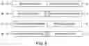Fig. 08 - COMPOSITIONS AND METHODS FOR REGULATING IMMUNE SYSTEM ACTIVITY