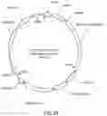 Fig. 32 - COMPOSITIONS AND METHODS FOR REGULATING IMMUNE SYSTEM ACTIVITY