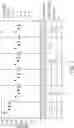 Fig. 02 - Anti-CGRP Antibody Formulation