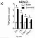 Fig. 41 - COMPOSITIONS AND METHOD OF MODULATING GROWTH FACTOR FUNCTION
