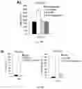Fig. 43 - COMPOSITIONS AND METHOD OF MODULATING GROWTH FACTOR FUNCTION