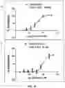Fig. 13 - ANTIBODIES THAT BIND HUMAN CANNABINOID 1 (CB1) RECEPTOR