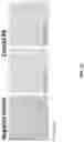Fig. 62 - ANTIBODIES THAT BIND HUMAN CANNABINOID 1 (CB1) RECEPTOR