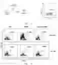 Fig. 08 - CD7 CHIMERIC ANTIGEN RECEPTOR-MODIFIED NK-92MI CELL AND USE THEREOF