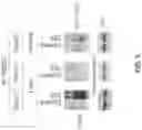Fig. 05 - METHODS OF USE OF ANTI-TREM2 ANTIBODIES