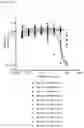 Fig. 13 - MULTISPECIFIC BINDING MOIETIES COMPRISING PD-1 AND TGF-BRII BINDING DOMAINS