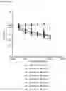 Fig. 16 - MULTISPECIFIC BINDING MOIETIES COMPRISING PD-1 AND TGF-BRII BINDING DOMAINS