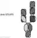 Fig. 01 - ANTI-STEAP1 ANTIGEN-BINDING PROTEIN