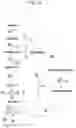 Fig. 07 - ALCOHOL DEHYDROGENASE VARIANTS