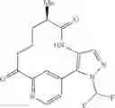 Fig. 02 - CARBOXYESTERASE POLYPEPTIDES FOR KINETIC RESOLUTION