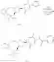 Fig. 167 - MODIFIED OLIGOMERIC COMPOUNDS AND USES THEREOF