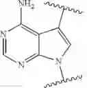 Fig. 197 - Synthesis of novel disulfide linker based nucleotides as reversible terminators for DNA sequencing by synthesis