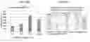 Fig. 35 - CHEMICAL COMPOSITIONS AND METHODS OF USE