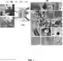 Fig. 02 - Electrolysis methods that utilize carbon dioxide for making a macro-assembly of nanocarbon