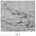 Fig. 07 - Carboxylated cellulose nanofiber and preparation method thereof