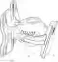 Fig. 01 - Angle adjustment apparatus