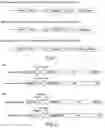 Fig. 02 - RECOMBINANT VIRUSES, INSECT CELLS AND THEIR USES IN VIRAL DETECTION AND VACCINATION