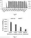Fig. 06 - RECOMBINANT VIRUSES, INSECT CELLS AND THEIR USES IN VIRAL DETECTION AND VACCINATION