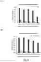 Fig. 07 - RECOMBINANT VIRUSES, INSECT CELLS AND THEIR USES IN VIRAL DETECTION AND VACCINATION