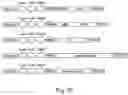 Fig. 13 - RECOMBINANT VIRUSES, INSECT CELLS AND THEIR USES IN VIRAL DETECTION AND VACCINATION