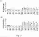 Fig. 14 - RECOMBINANT VIRUSES, INSECT CELLS AND THEIR USES IN VIRAL DETECTION AND VACCINATION