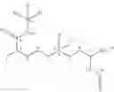 Fig. 08 - ZWITTERIONIC NANOPARTICLES