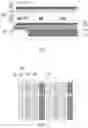 Fig. 03 - Display device