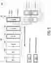 Fig. 06 - CLASSIFICATION DEVICE CONFIGURED TO EXECUTE CLASSIFICATION PROCESSING USING LEARNING MACHINE MODEL, METHOD, AND NON-TRANSITORY COMPUTER-READABLE STORAGE MEDIUM STORING COMPUTER PROGRAM