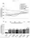 Fig. 04 - INFORMATION PROCESSING DEVICE, METHOD OF CONTROLLING SAME, 
PROGRAM, AND LEARNED MODEL