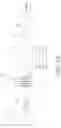 Fig. 02 - MISALIGNMENT-RESILIENT DIFFRACTIVE OPTICAL NEURAL NETWORKS