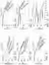 Fig. 08 - MISALIGNMENT-RESILIENT DIFFRACTIVE OPTICAL NEURAL NETWORKS