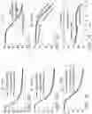 Fig. 09 - MISALIGNMENT-RESILIENT DIFFRACTIVE OPTICAL NEURAL NETWORKS