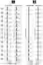 Fig. 16 - MISALIGNMENT-RESILIENT DIFFRACTIVE OPTICAL NEURAL NETWORKS