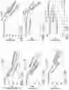Fig. 18 - MISALIGNMENT-RESILIENT DIFFRACTIVE OPTICAL NEURAL NETWORKS