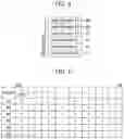 Fig. 05 - Integrated circuit, memory and operation method of memory