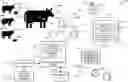 Fig. 01 - COMPUTERIZED SYSTEMS AND METHODS FOR LIVESTOCK MANAGEMENT