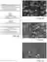Fig. 02 - SILICON-BASED ANODES FOR HIGH ENERGY-DENSITY, HIGH CYCLE-LIFE LITHIUM-ION BATTERY