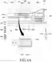 Fig. 07 - Electronic device including flexible printed circuit board