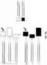 Fig. 07 - Quasi co-location related priority rules for multi-downlink control information based multi-transmission/reception point