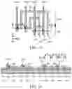 Fig. 08 - Display substrate, preparation method thereof, and display device